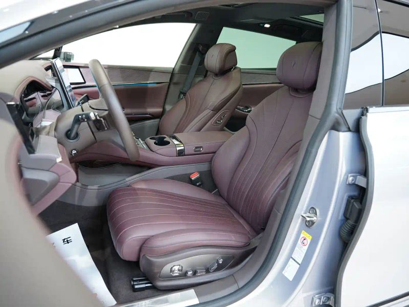 Denza z9gt