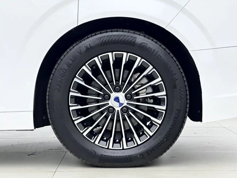 Denza d9
