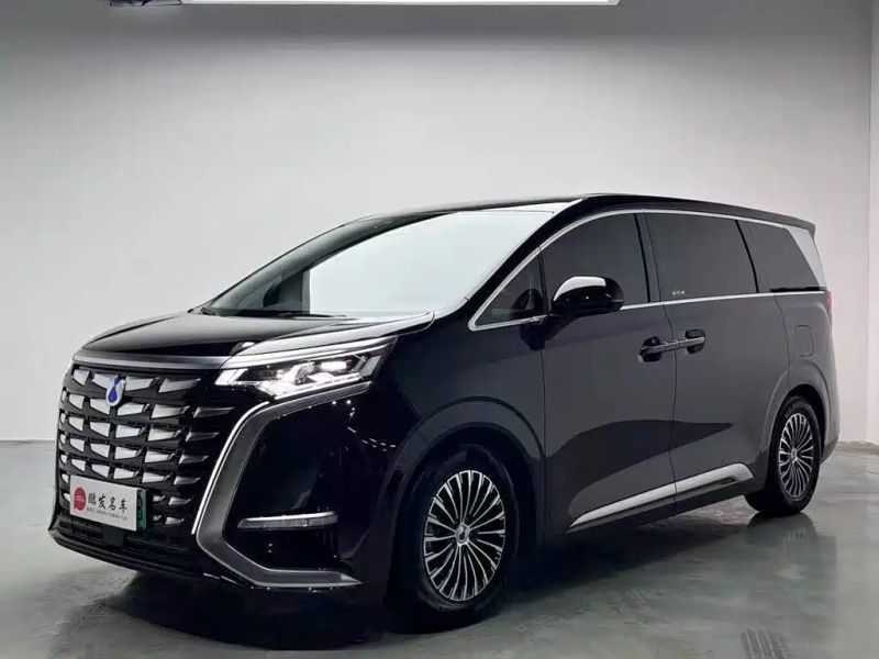 Denza d9
