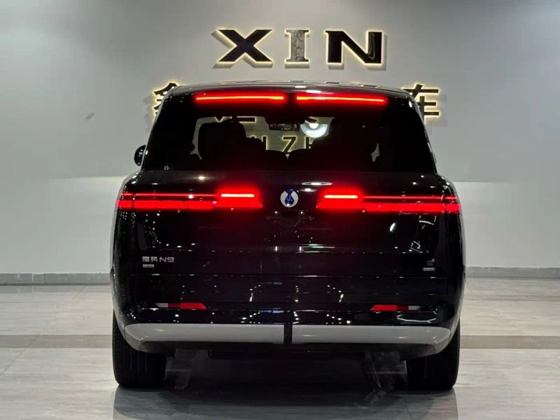 Denza n9