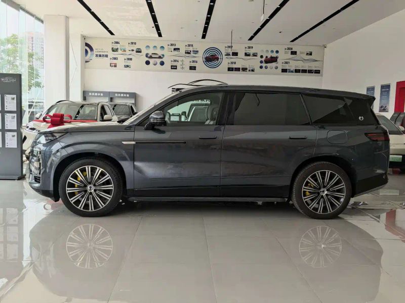 Denza n9