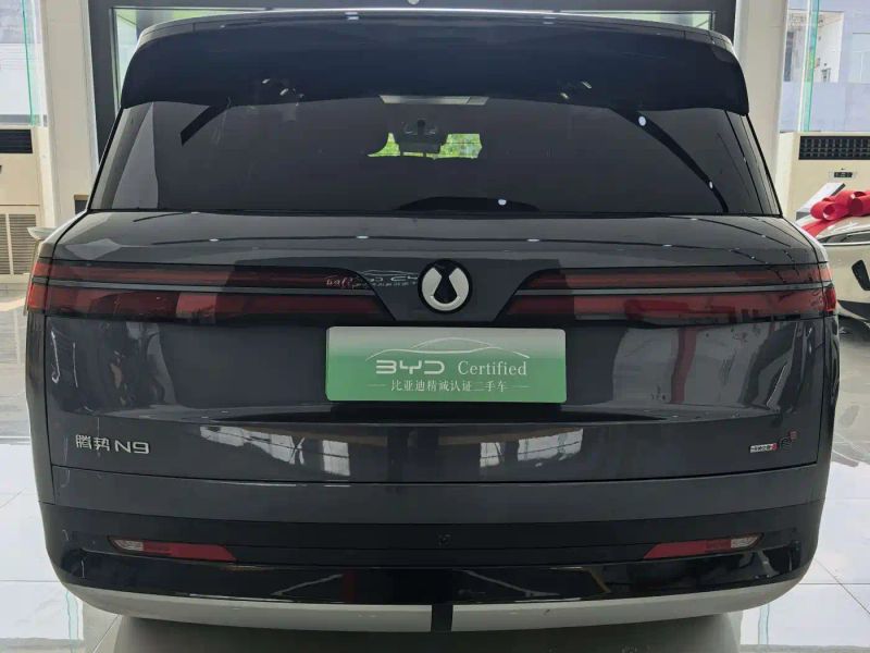 Denza n9