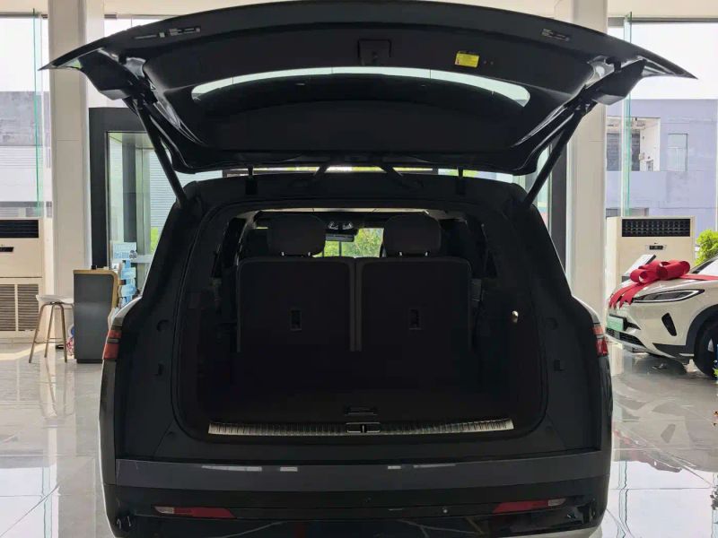 Denza n9
