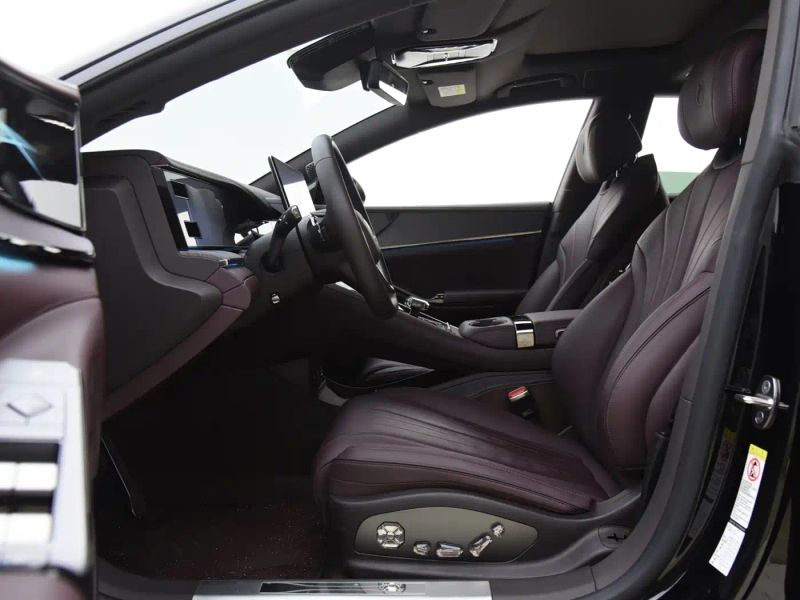 Denza z9