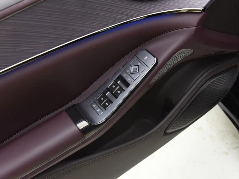 Denza z9