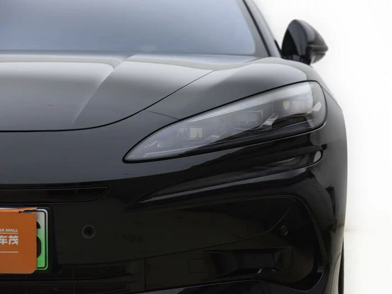 Denza z9