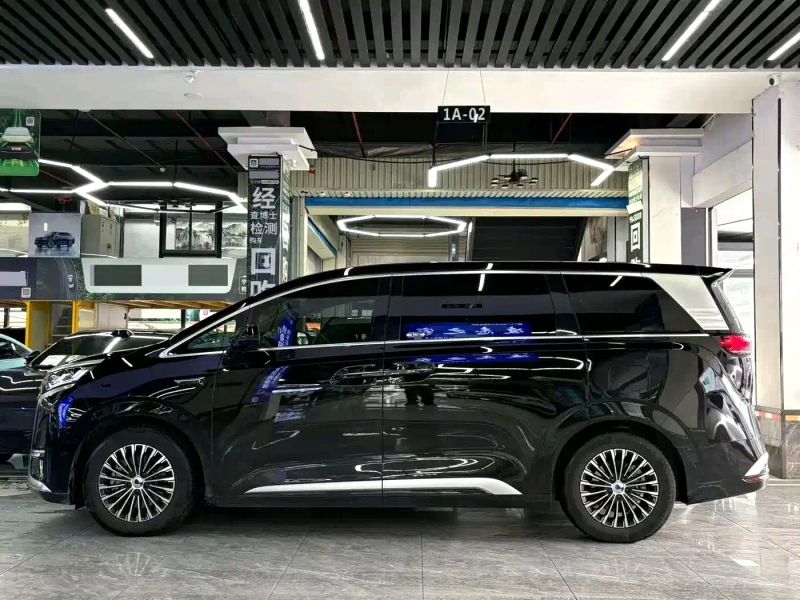 Denza d9