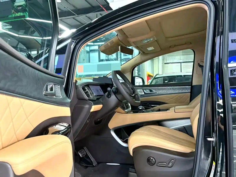 Denza d9
