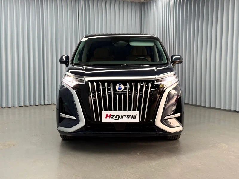 Denza d9