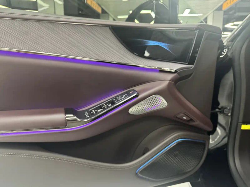 Denza z9gt