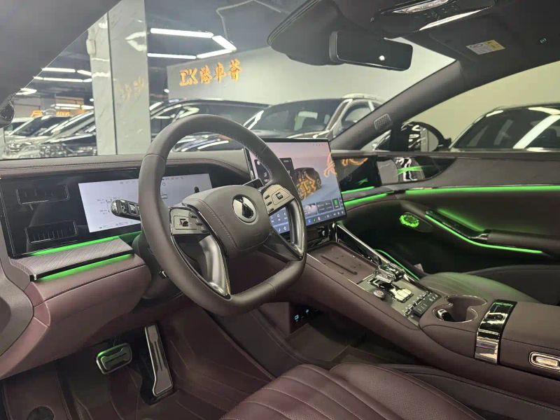 Denza z9gt