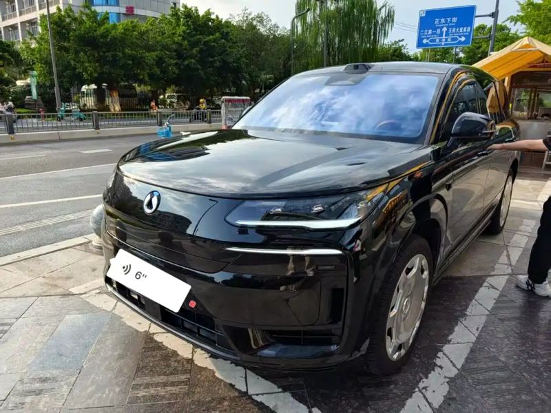 Denza n9