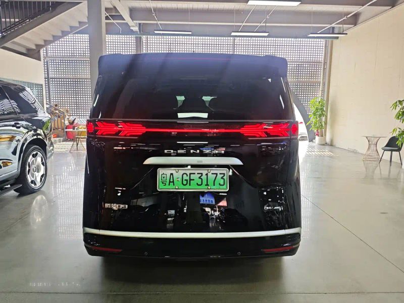 Denza d9