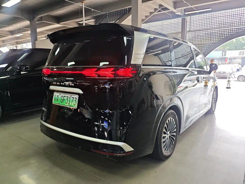 Denza d9