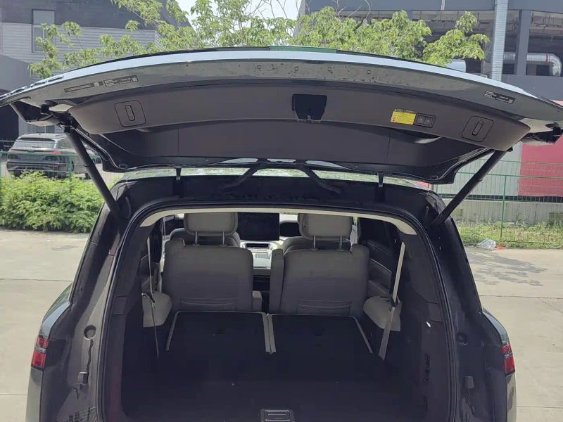 Denza n9