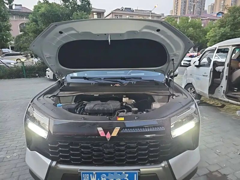 wuling xingshan-560