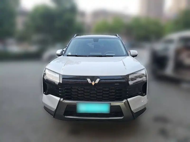 wuling xingshan-560