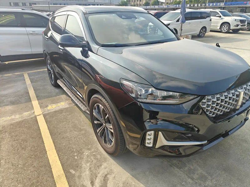 Wey vv6