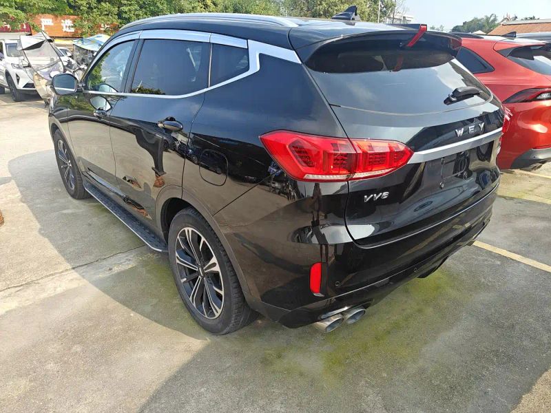 Wey vv6