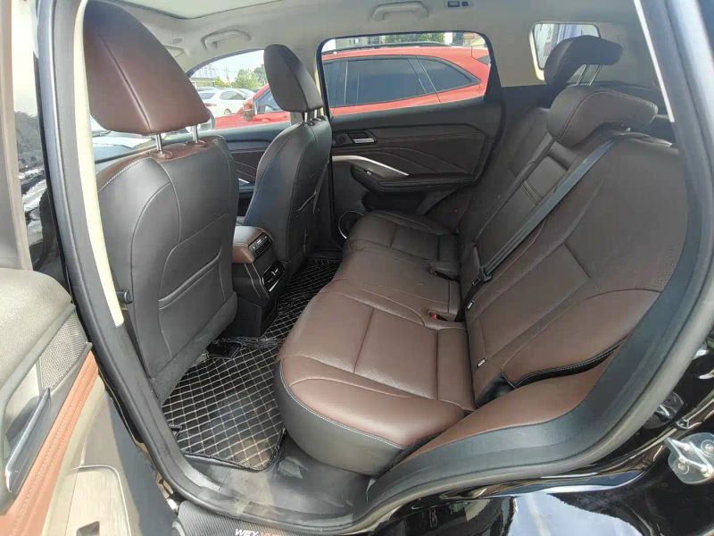 Wey vv6