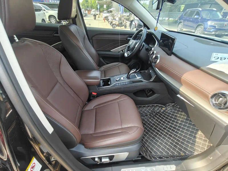 Wey vv6
