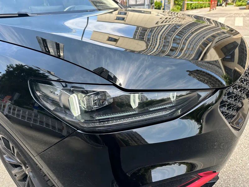 Wey vv6