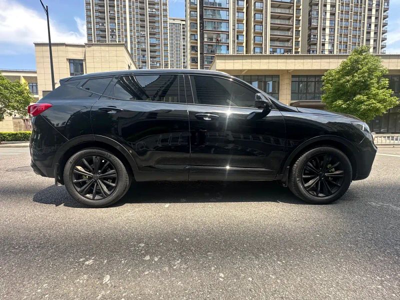 Wey vv6