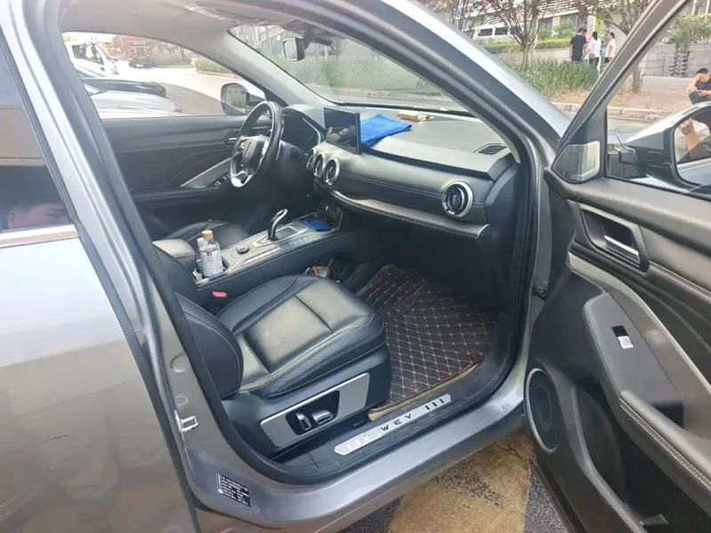 Wey vv6