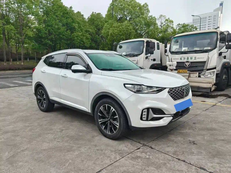Wey vv6