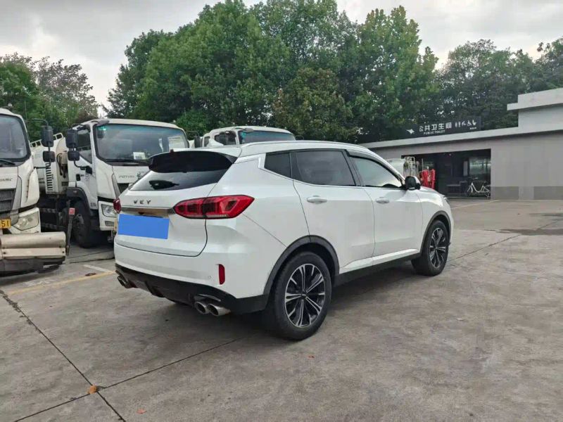 Wey vv6