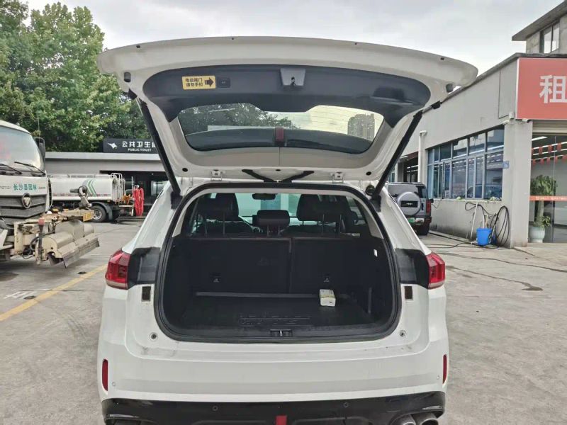 Wey vv6