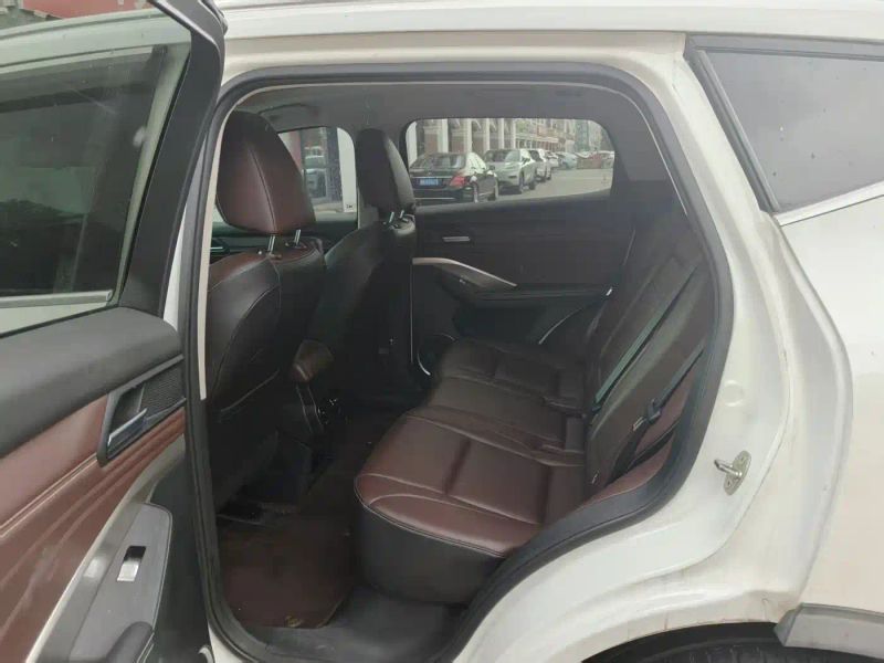 Wey vv6