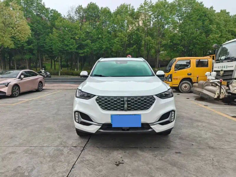 Wey vv6