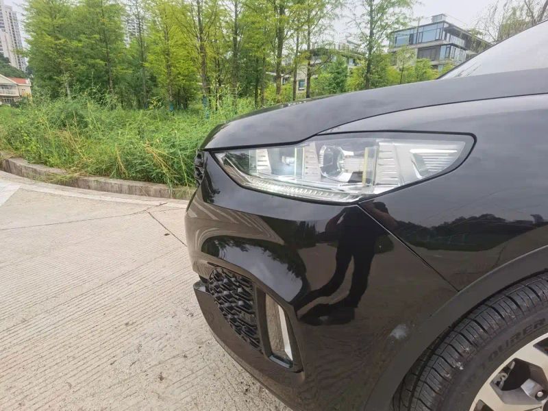 Wey vv6