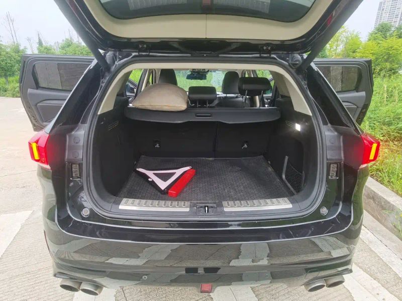Wey vv6