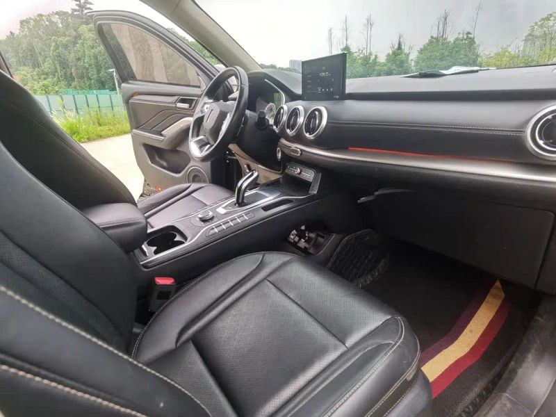Wey vv6