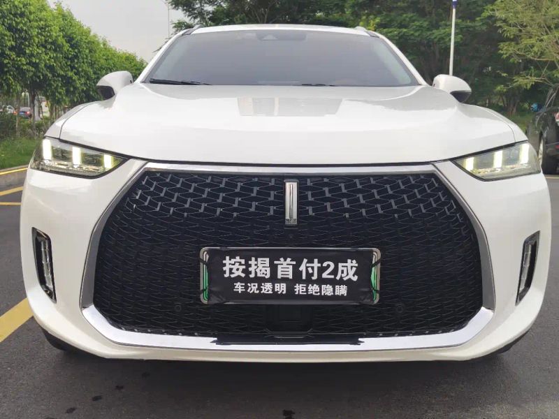 Wey weyauto_p8