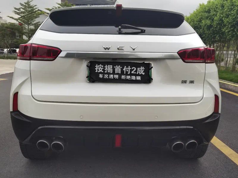 Wey weyauto_p8
