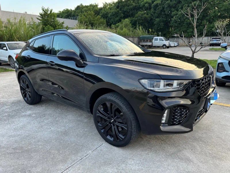 Wey vv5