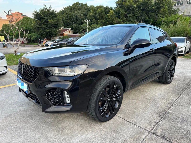 Wey vv5