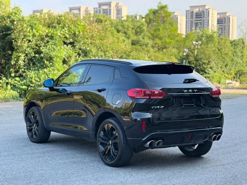 Wey vv5