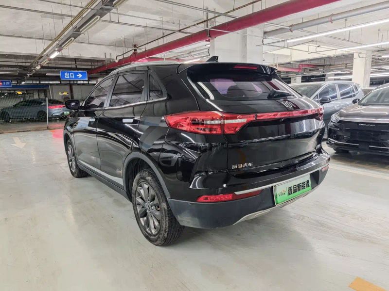 weima ex5