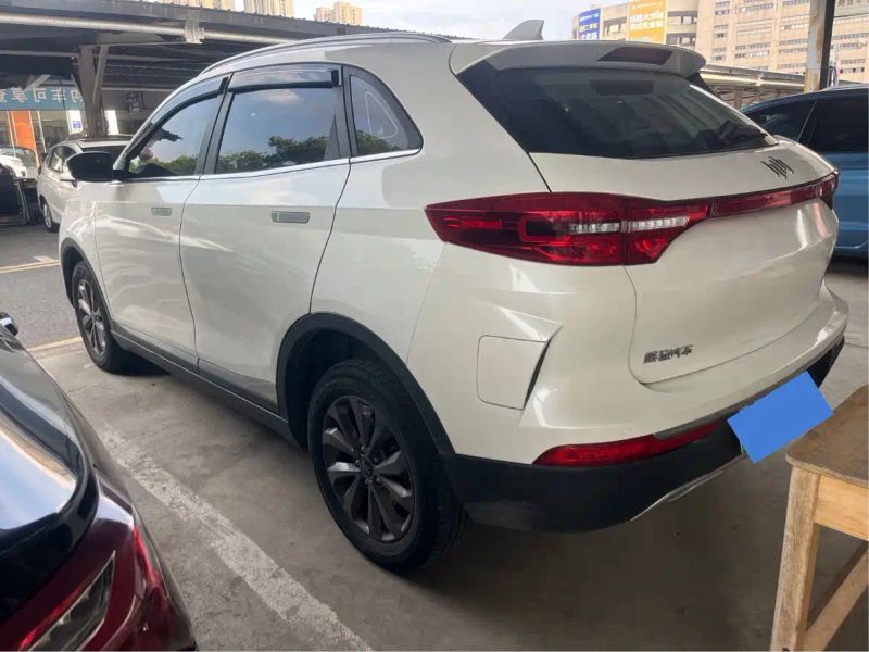 weima ex5
