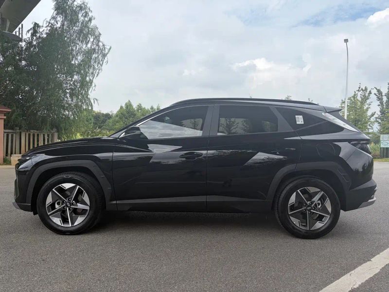 beijing-hyundai tushengl