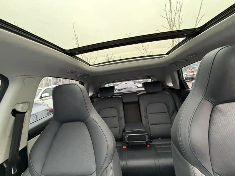 weima ex5