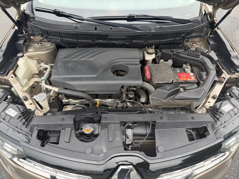 koleos koleos