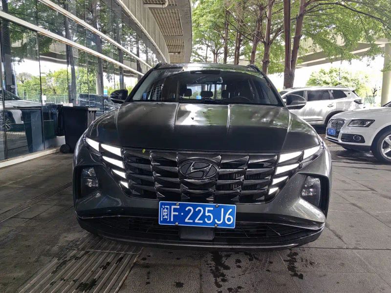 beijing-hyundai tushengl