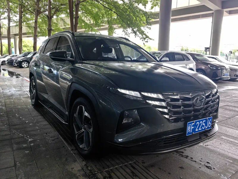 beijing-hyundai tushengl