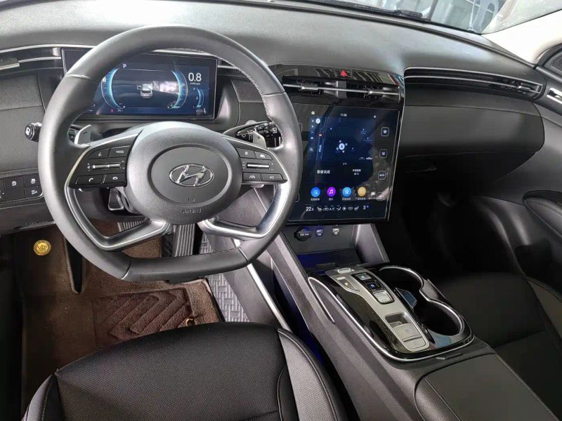 beijing-hyundai tushengl