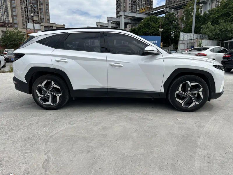 beijing-hyundai tushengl